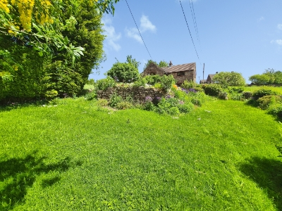 Picture 33